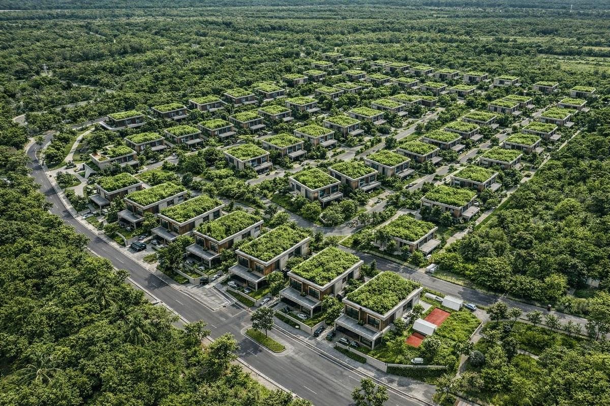 Forest Nation — aerial view of the gated community